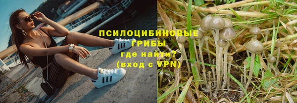 стаф Белокуриха