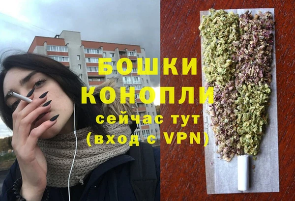 стаф Белокуриха