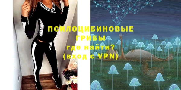 стаф Белокуриха