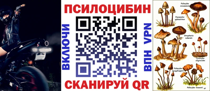сколько стоит Наволоки сайты даркнета официальный сайт Галлюциногенные грибы мицелий